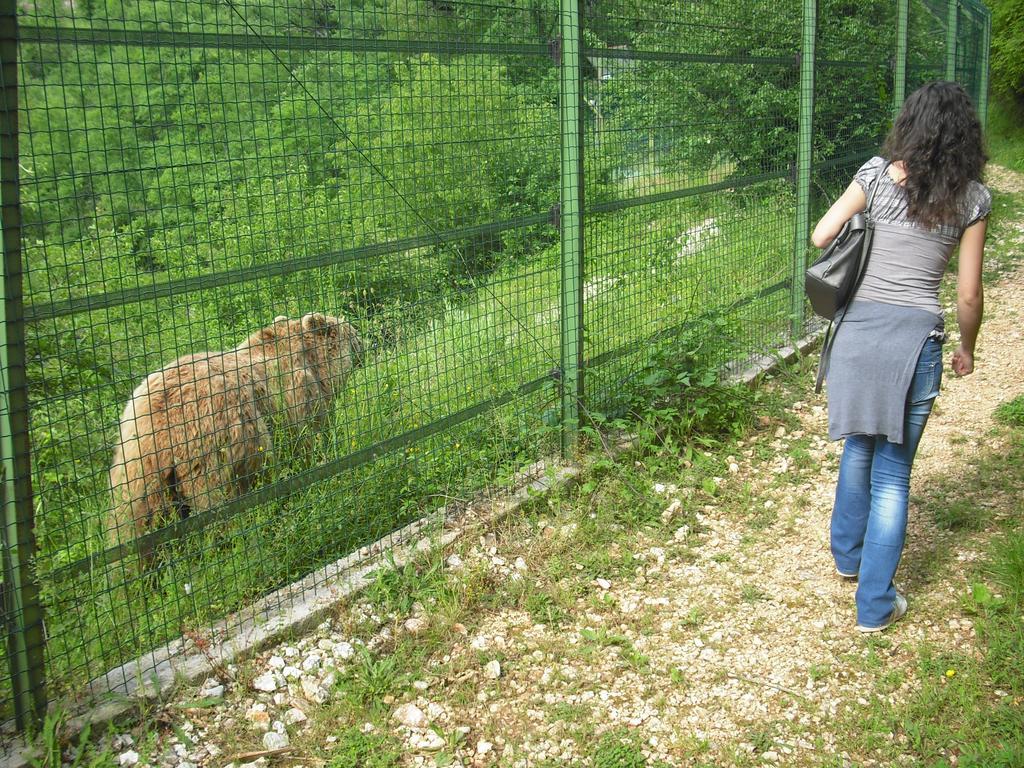 La Casa Sul Lago Posta Fibreno Εξωτερικό φωτογραφία