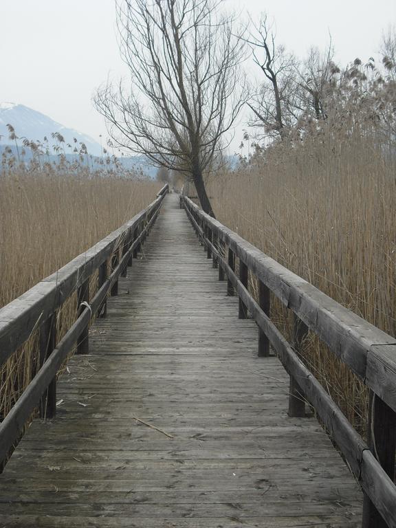 La Casa Sul Lago Posta Fibreno Εξωτερικό φωτογραφία