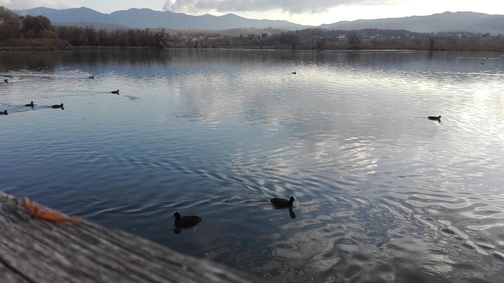 La Casa Sul Lago Posta Fibreno Εξωτερικό φωτογραφία